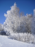 Zimní prázdniny 2013