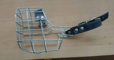 Výstroj pejska pro cvičení a hry