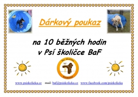 Milý Ježíšku!