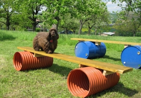 Pohyblivá lávka