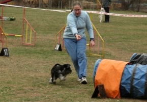 Speciál agility pro žáky Psí školičky BaF